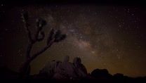 Star field and shooting stars over Joshua Trees at night