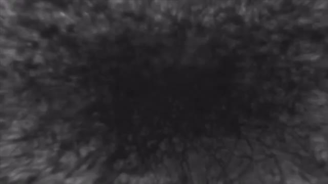 Visualization Of Pulsing Black Balls Of Hair On A Blurry Backgroun